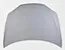 Front Hood 1051875-E0-G